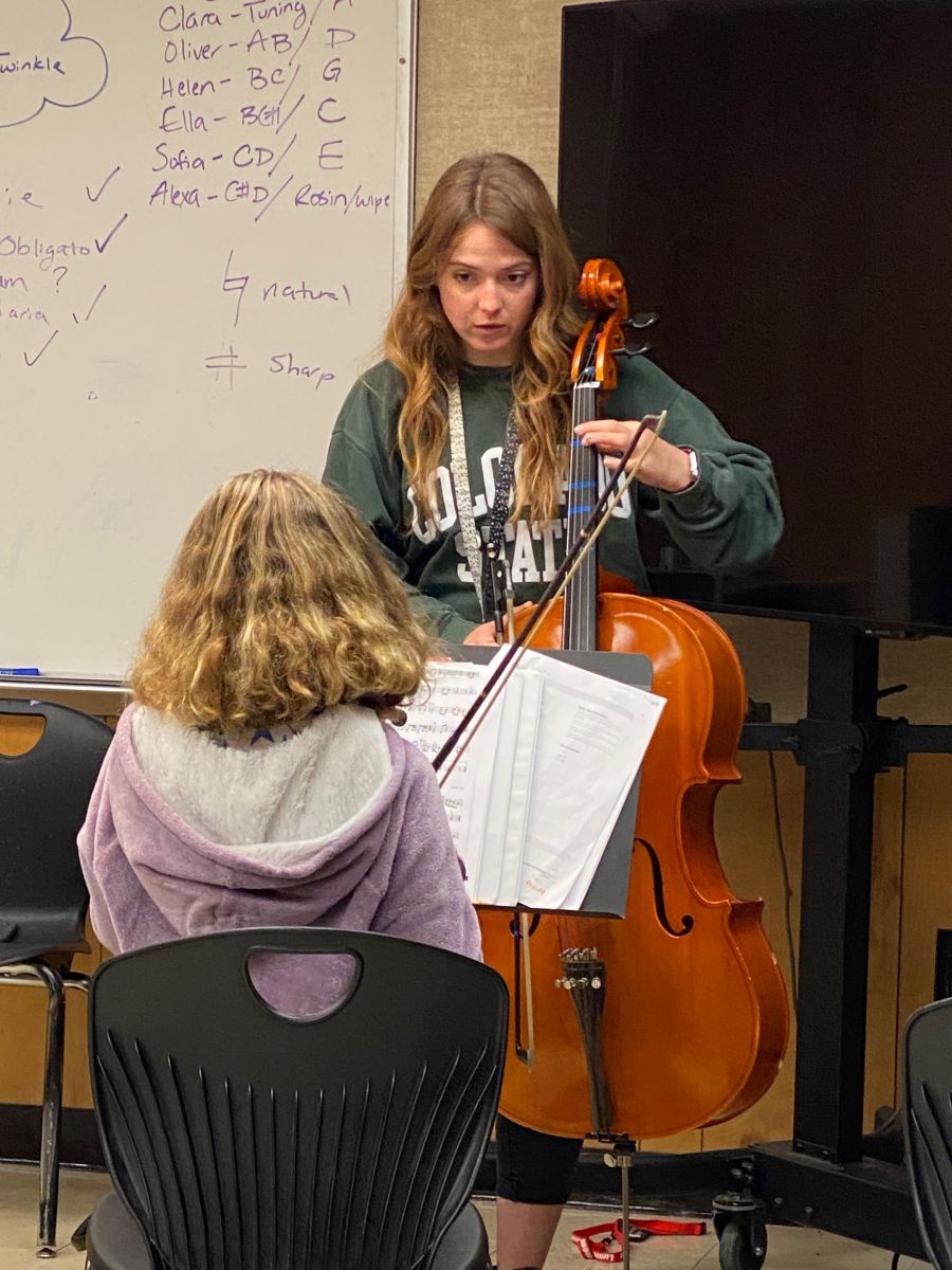 Ms. McIntyre Teaching