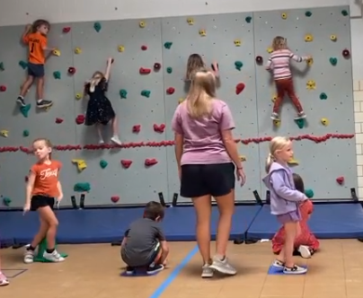 PE Rock Wall